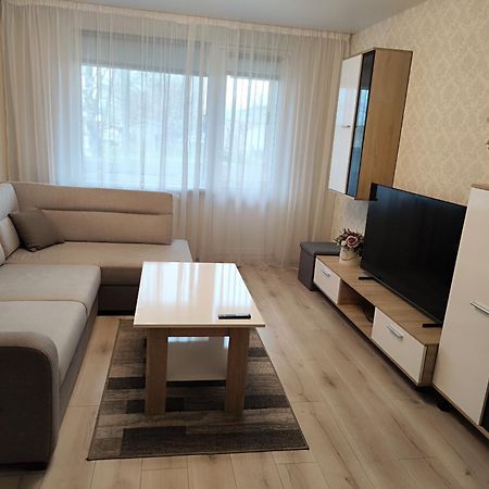 Monica Apartments Panevėžys 外观 照片