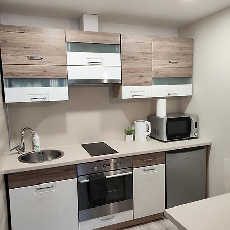 Monica Apartments Panevėžys 外观 照片