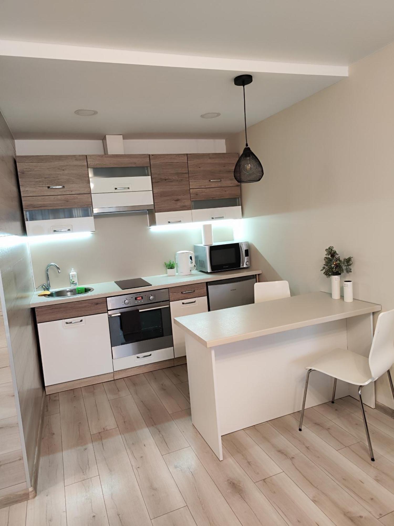 Monica Apartments Panevėžys 外观 照片
