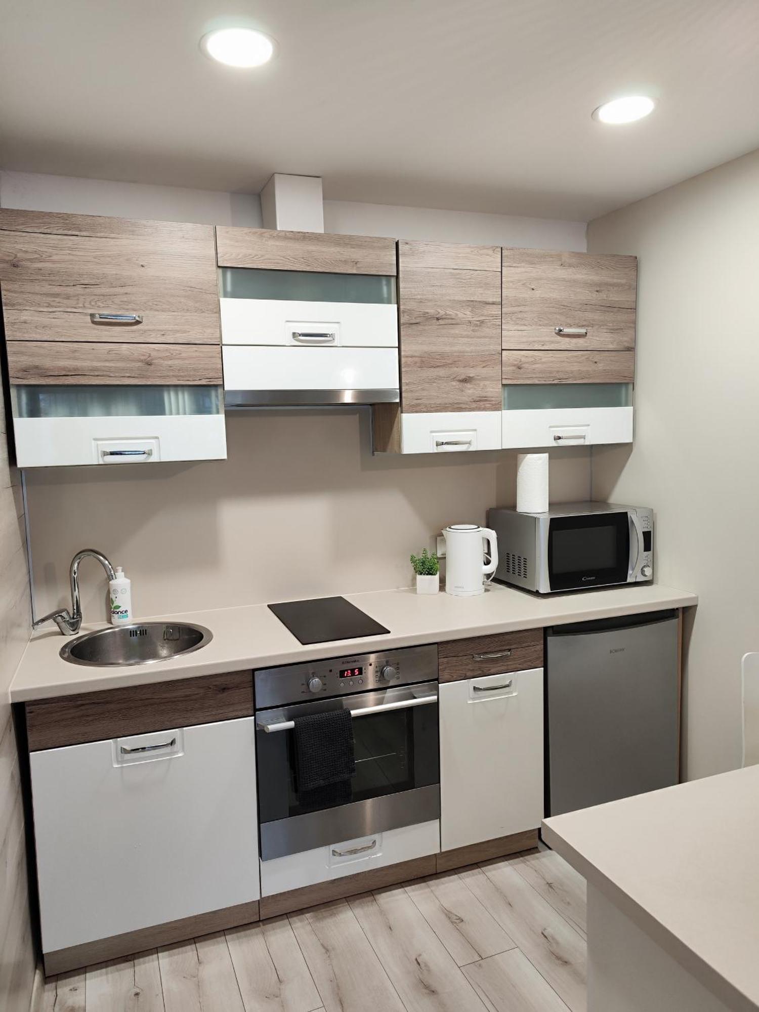 Monica Apartments Panevėžys 外观 照片